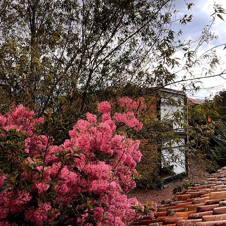 Casa Lloret Cuenca Eksteriør billede