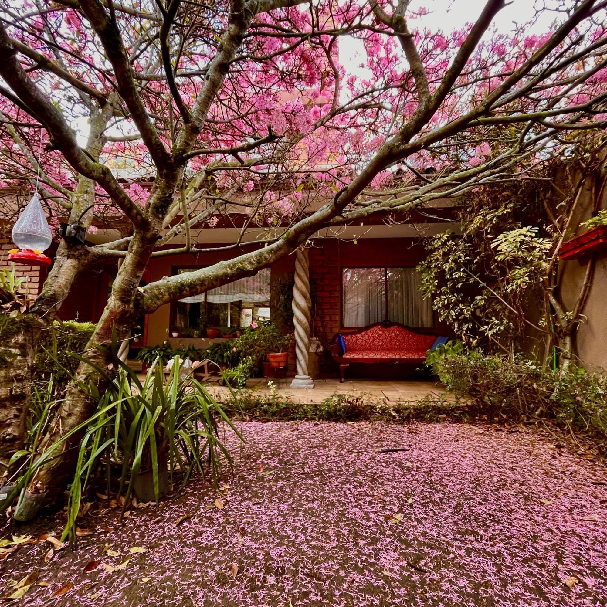 Casa Lloret Cuenca Eksteriør billede