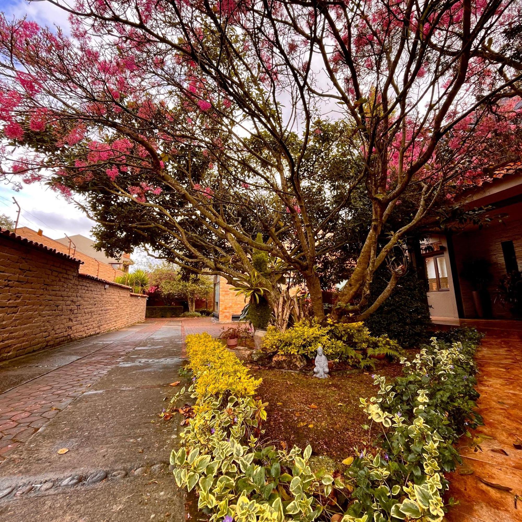 Casa Lloret Cuenca Eksteriør billede